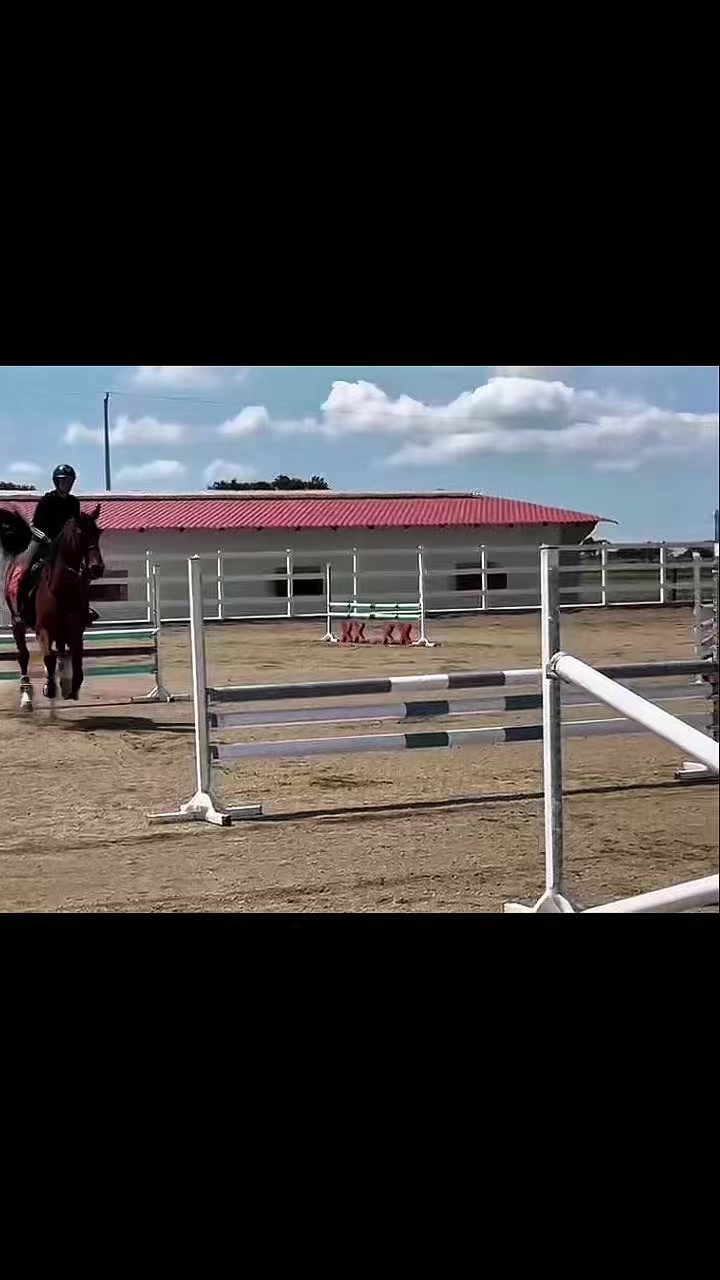 @alee.vas.nar