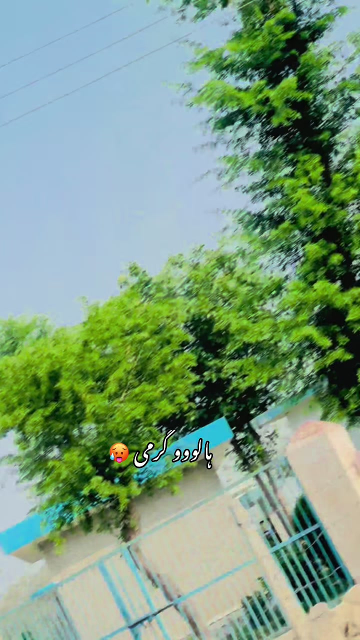 @🔥 آدھی کوٹ آلا 🔥