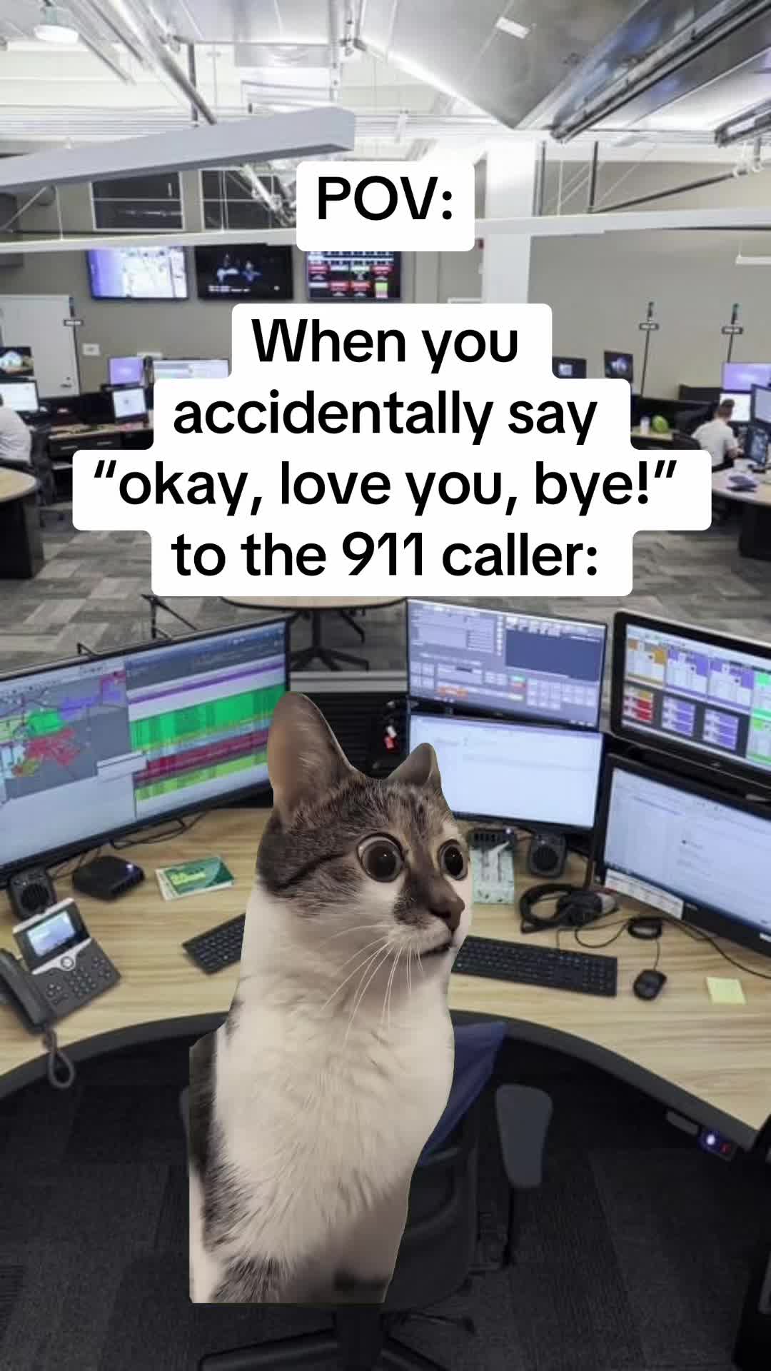 @sarah