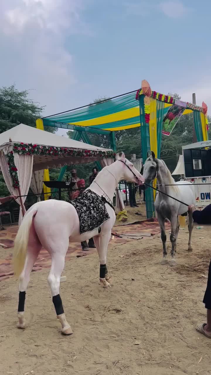 @🚩 راوی الہ 🚩