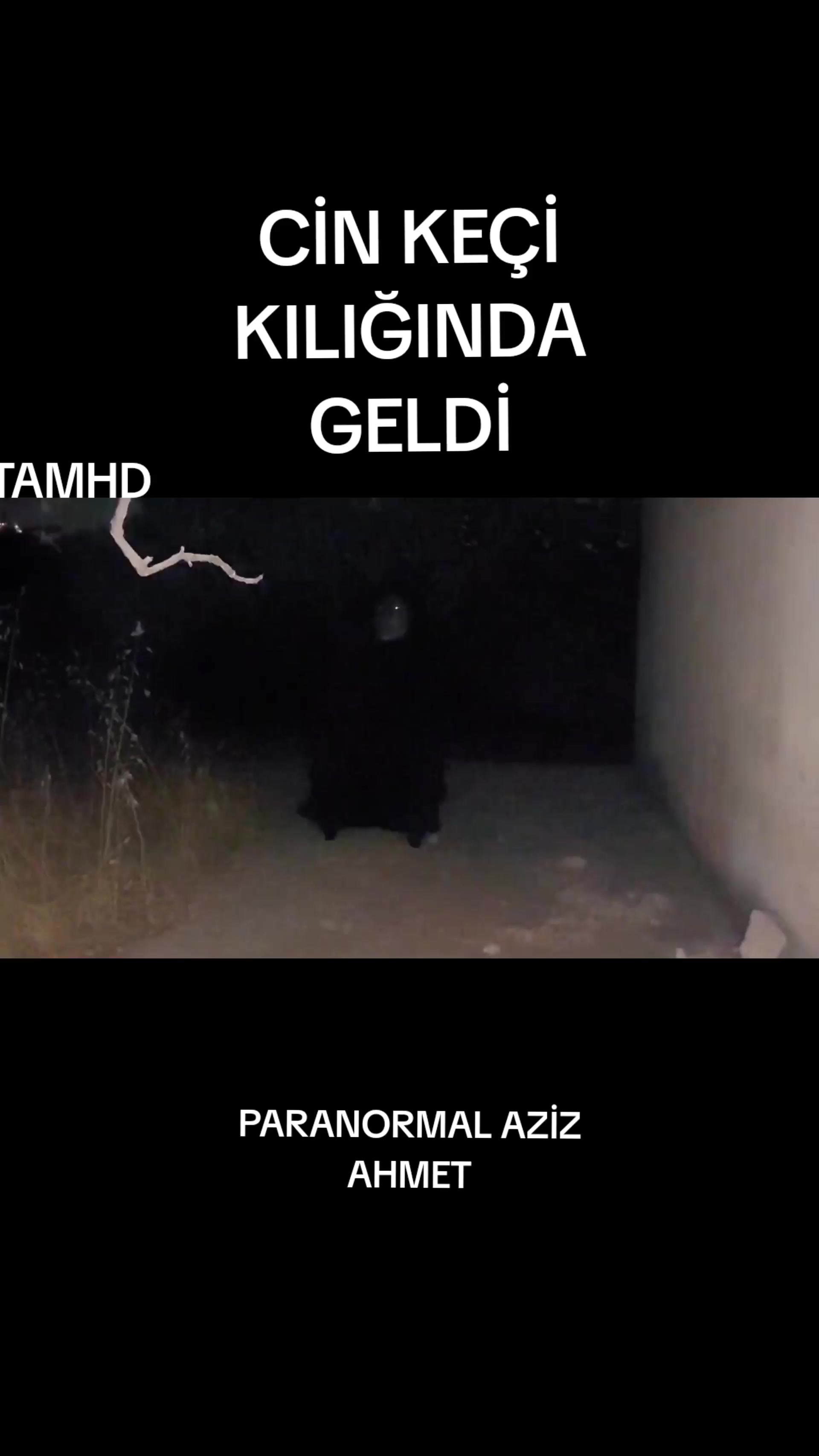 @BilalParanormalHBR