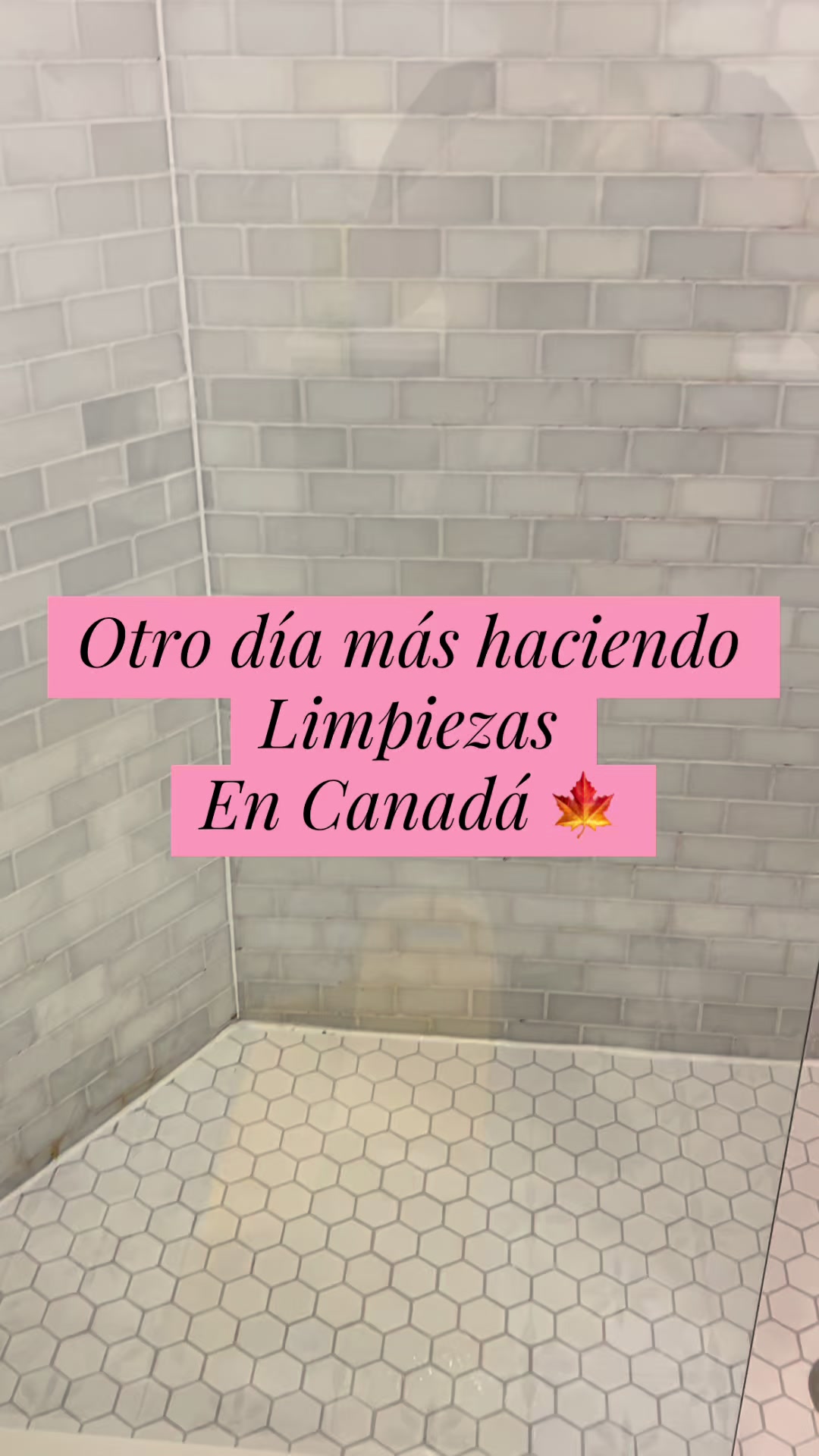 @LaZuleika🍍