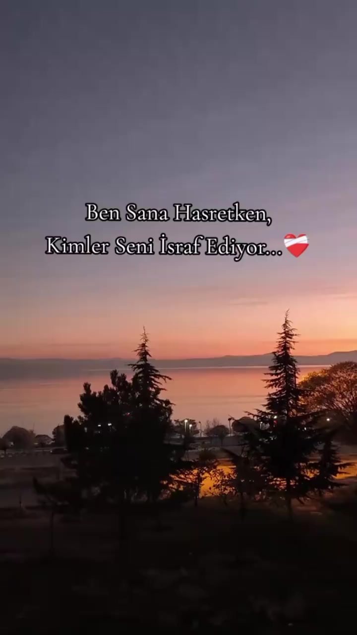 @mavig&ouml;l