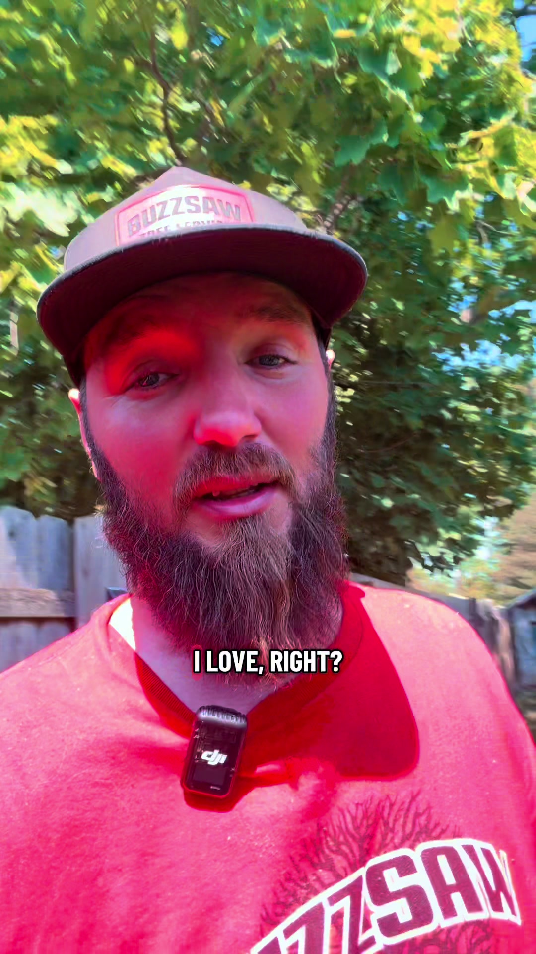 @Buzzsawtrees