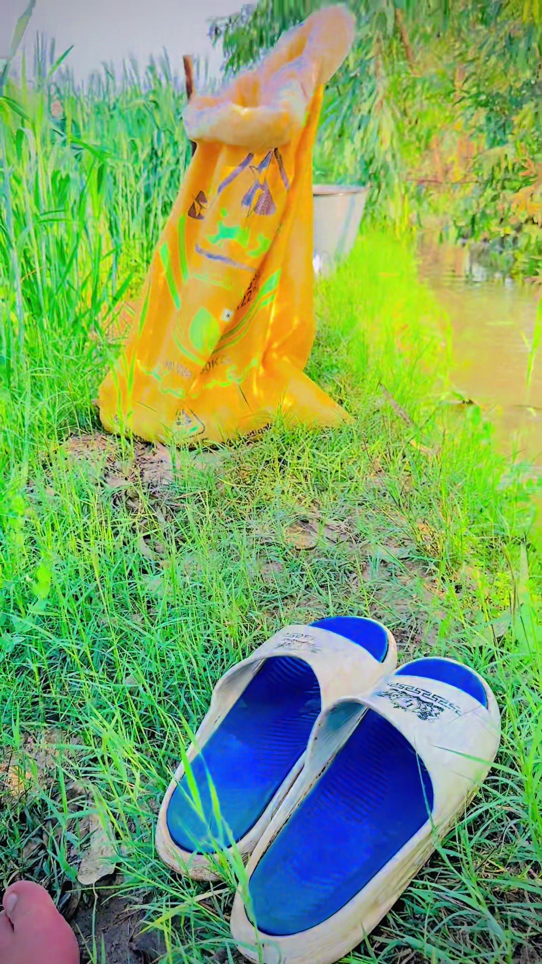 @نیازی