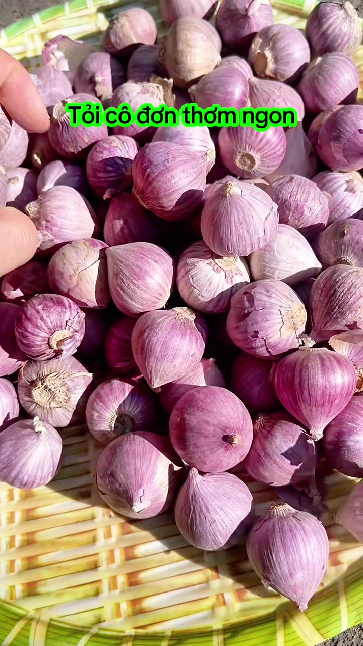 @nguyentuyet_79