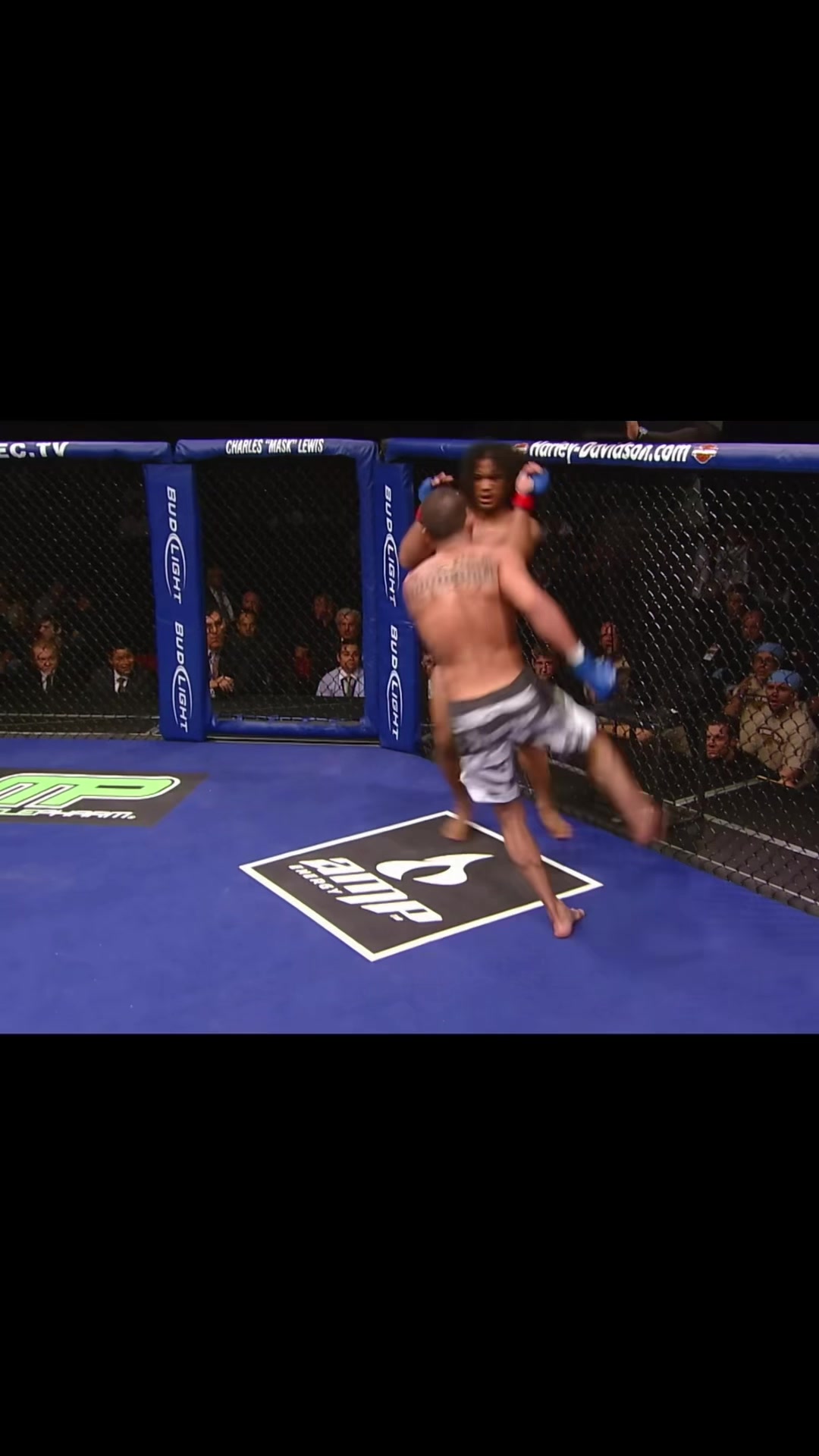 @Gold_UFC