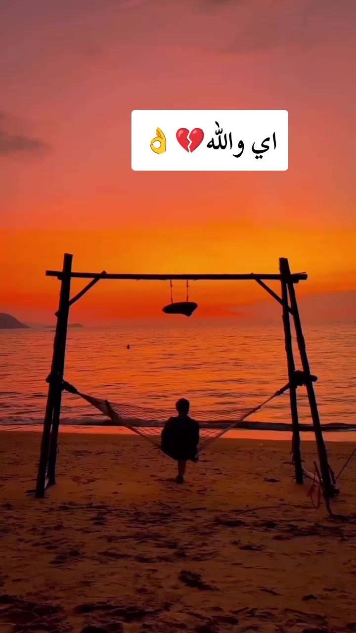 @ستوريات زيودي شبكي 🌎