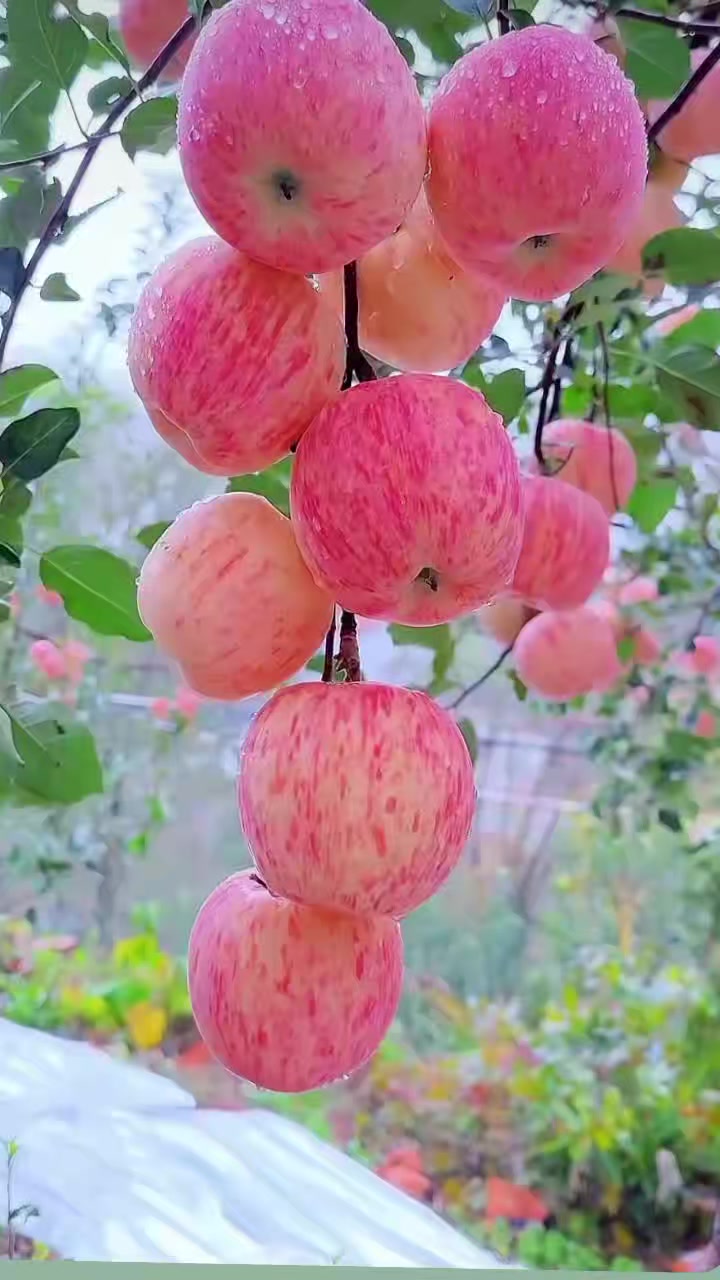@JnudaAil🇸🇦🇸🇦