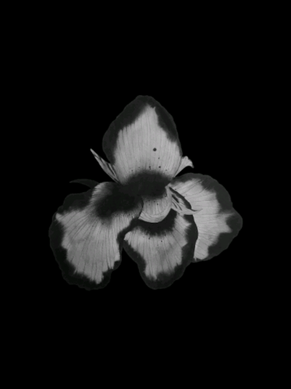 @𝐒𝐓𝐀𝐑'𝐒