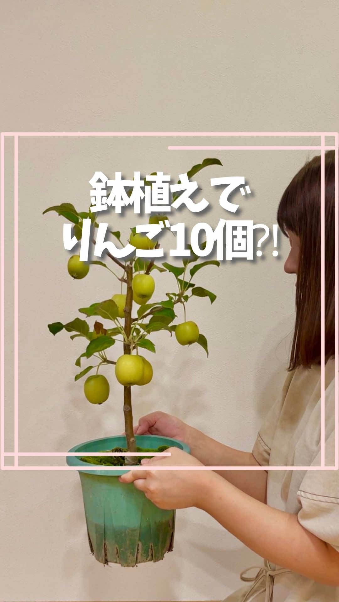 @はる|年間100種類の野菜を育てる3児のママ🍅