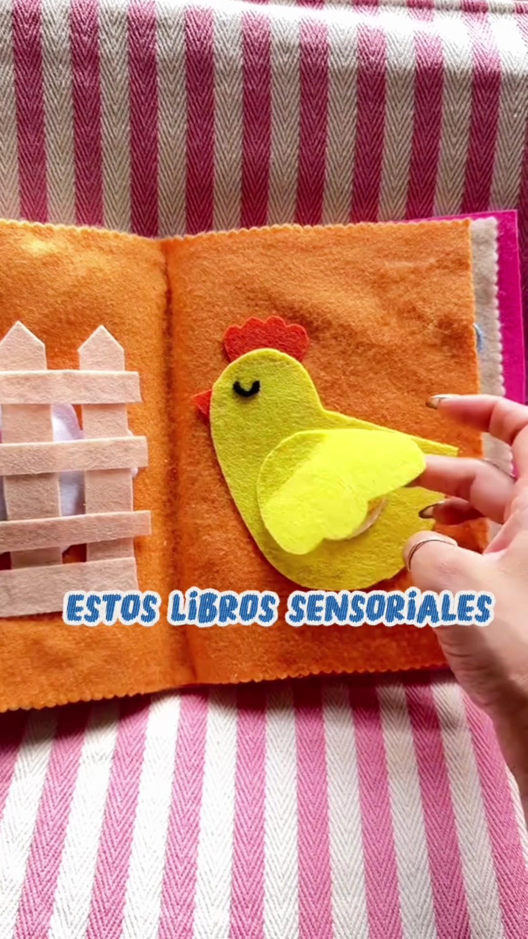 @Transformando Vidas