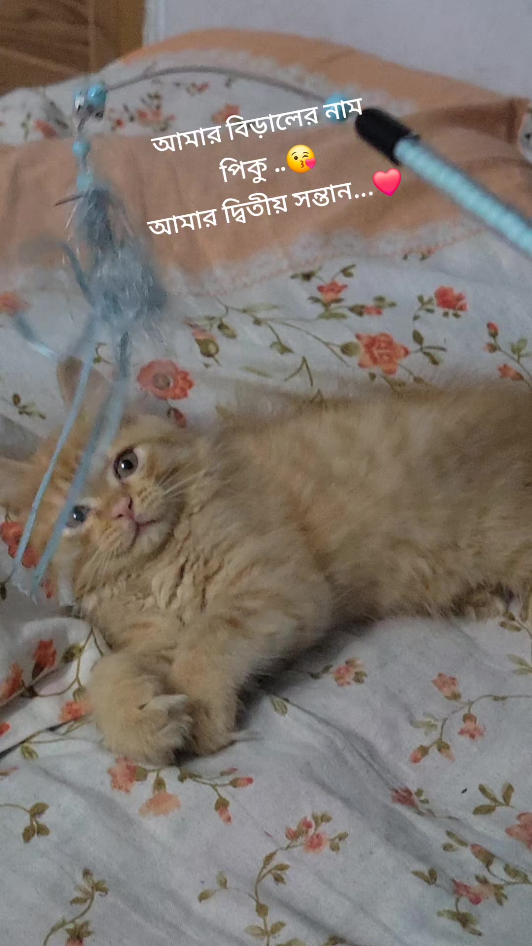 @নদী