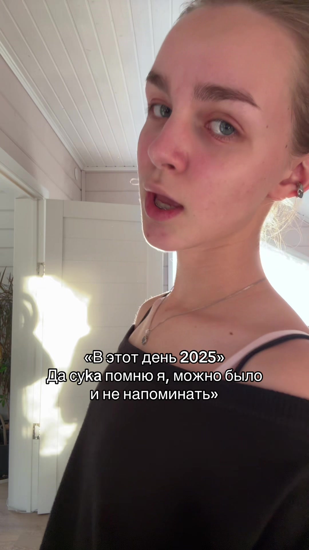 @belka.dream