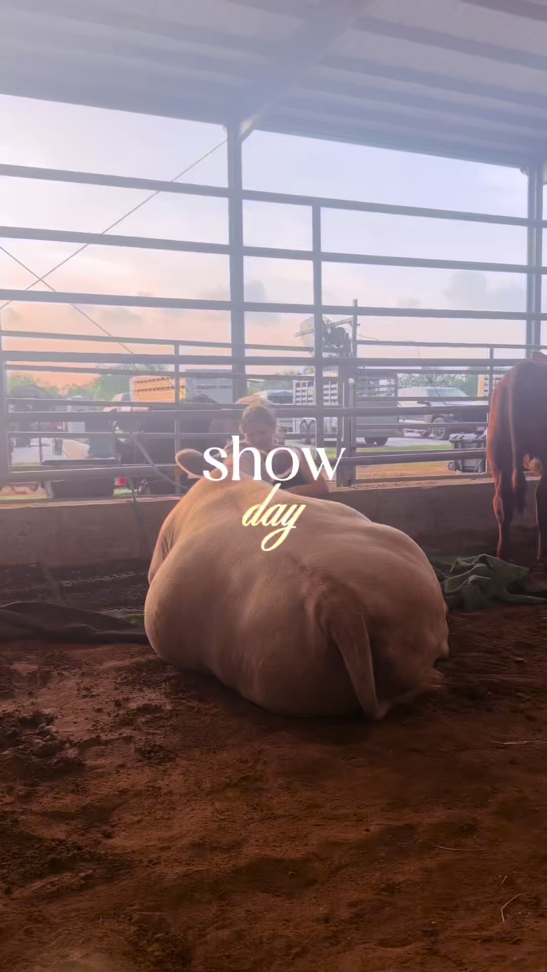 @ranchymamas