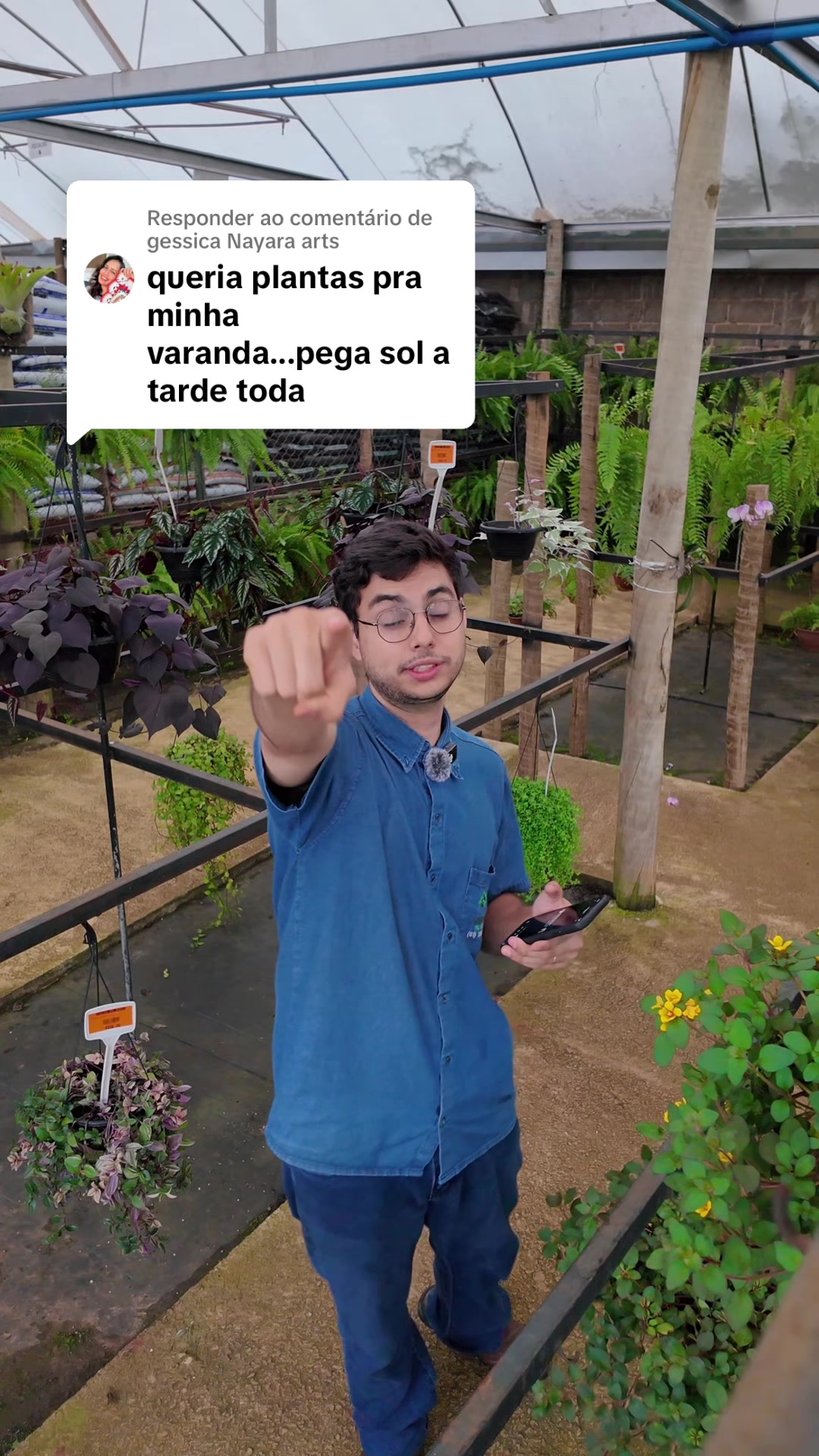@ViveiroPauBrasil