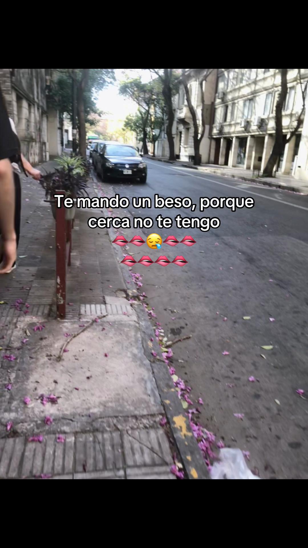 @Leo_nardo🧸