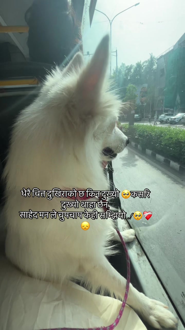 @ऋतु 🦋🖤