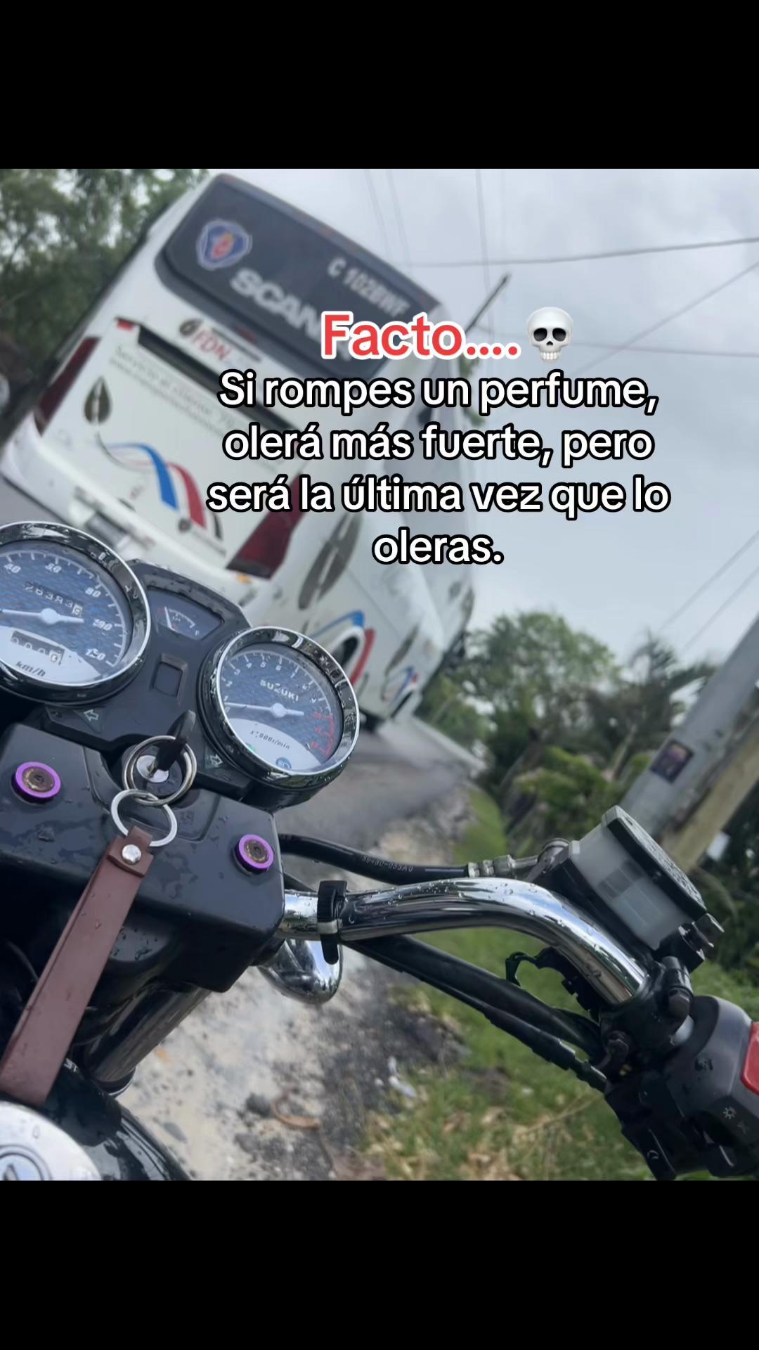 @Mister_factos 