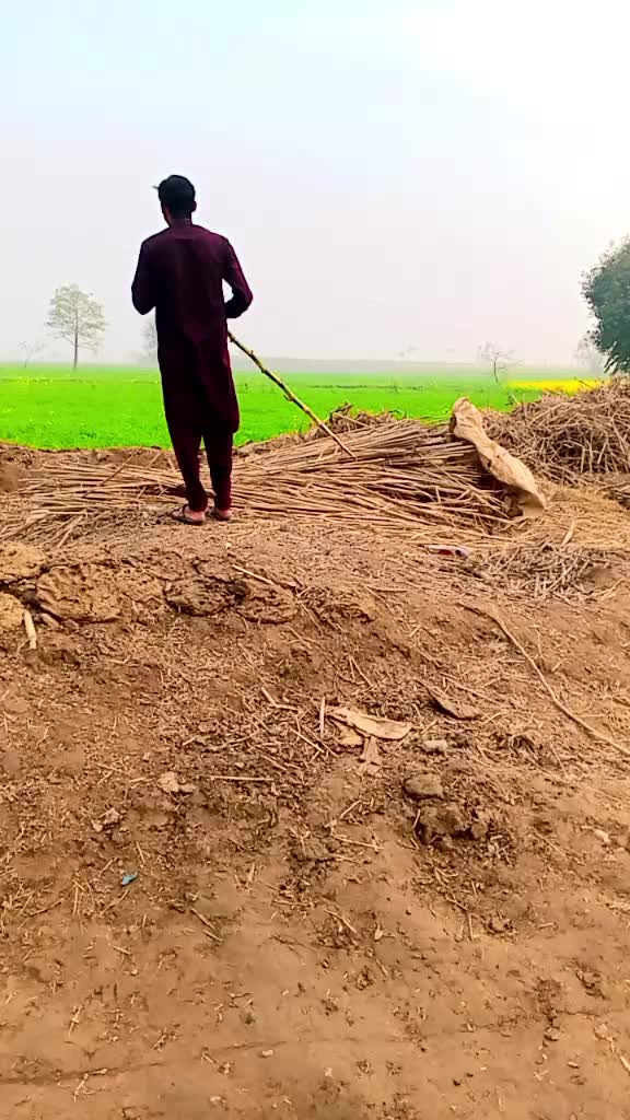 @Sabar Ali