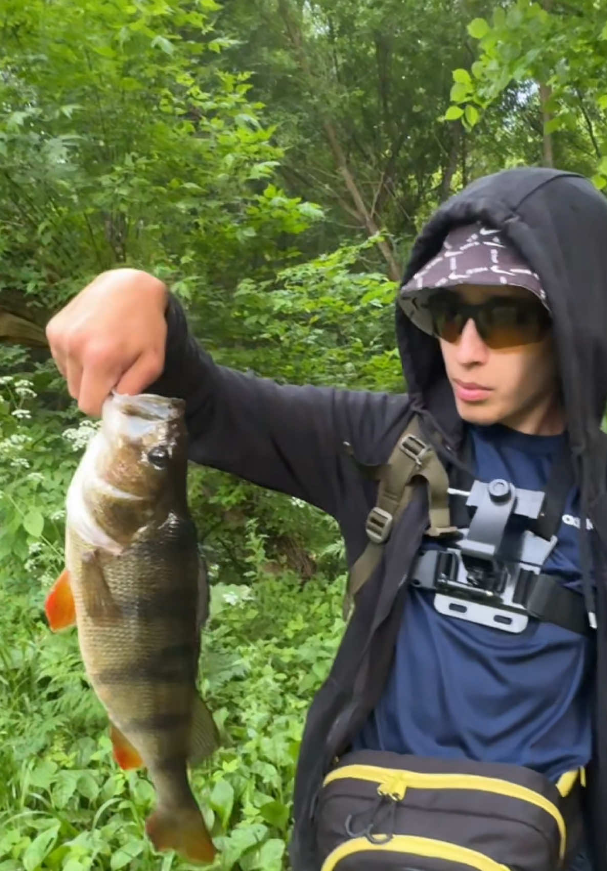 @𝗧𝗚.𝗗𝗬𝗫𝗙𝗜𝗦𝗛🎣