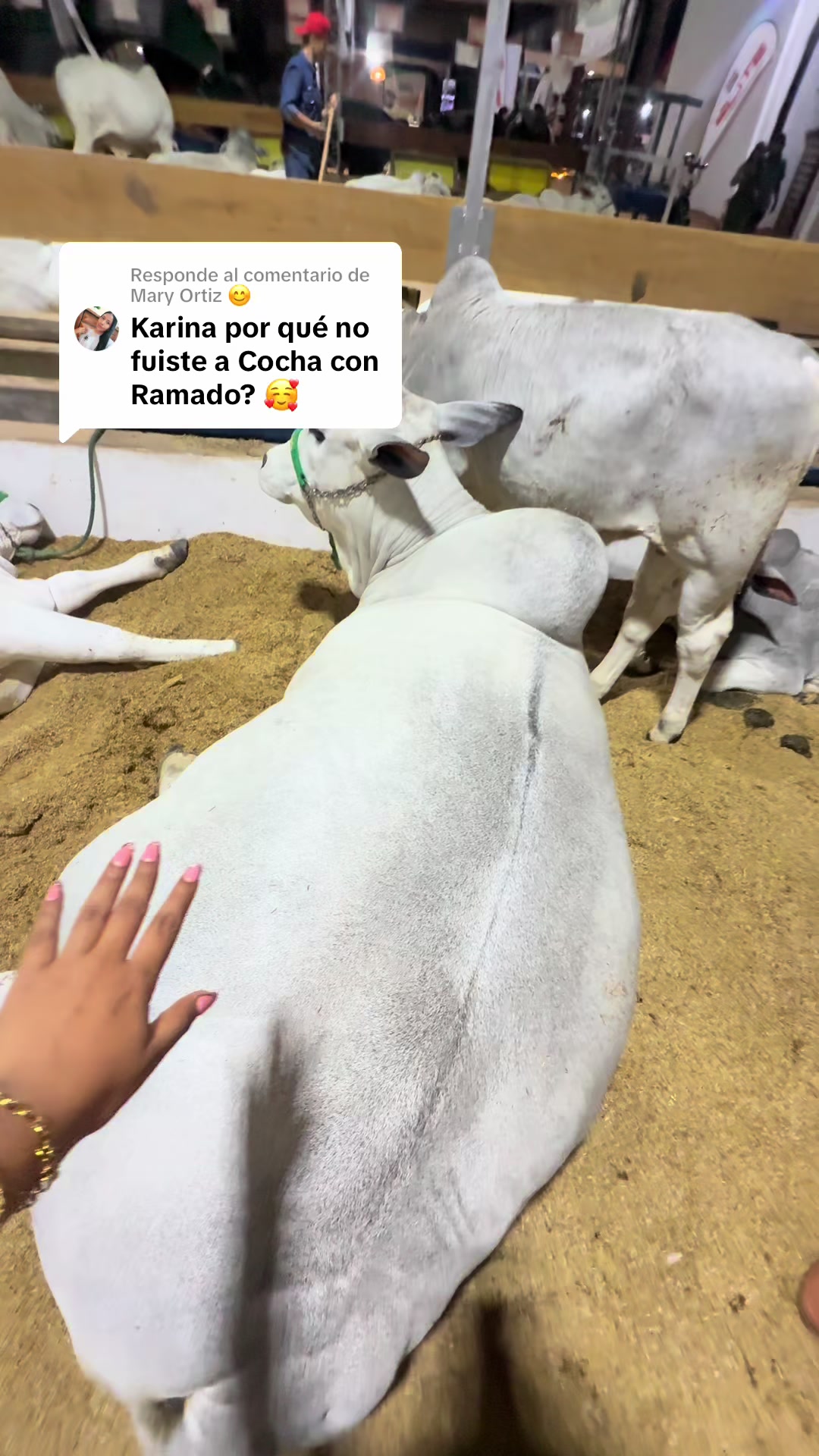 @Karina Costaleite 🍒