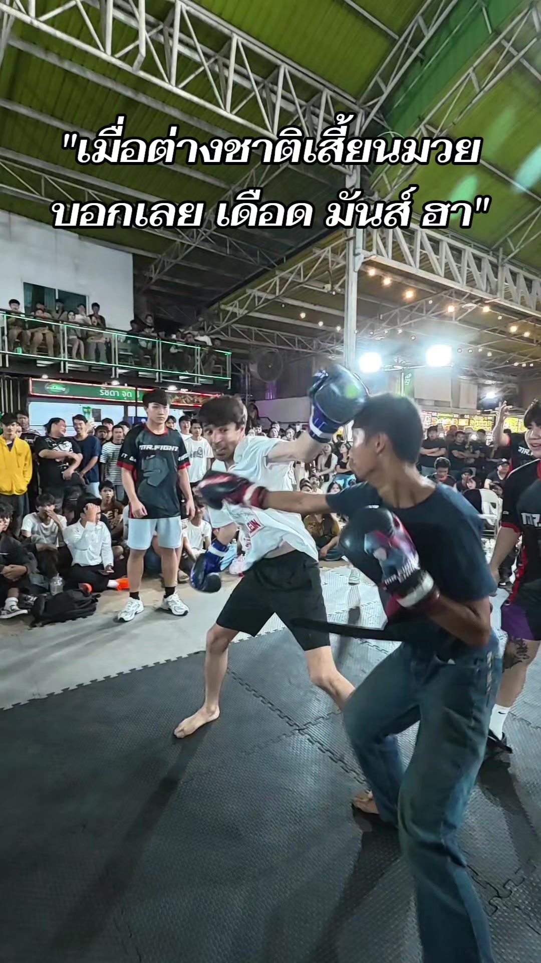 @Mr.Fight