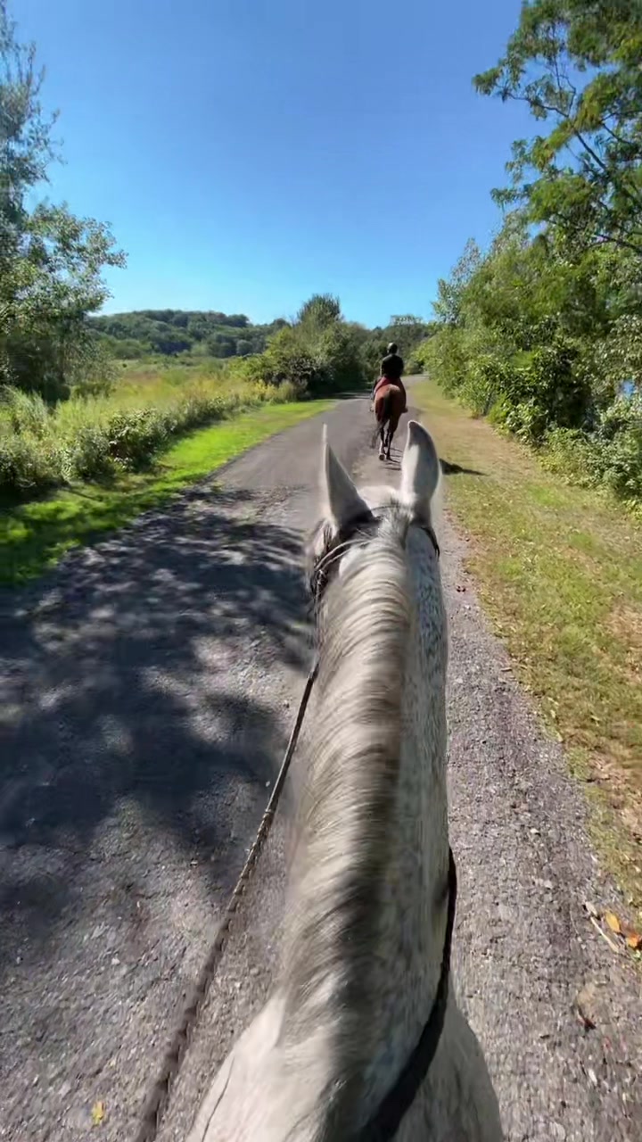 @Paula Carolina