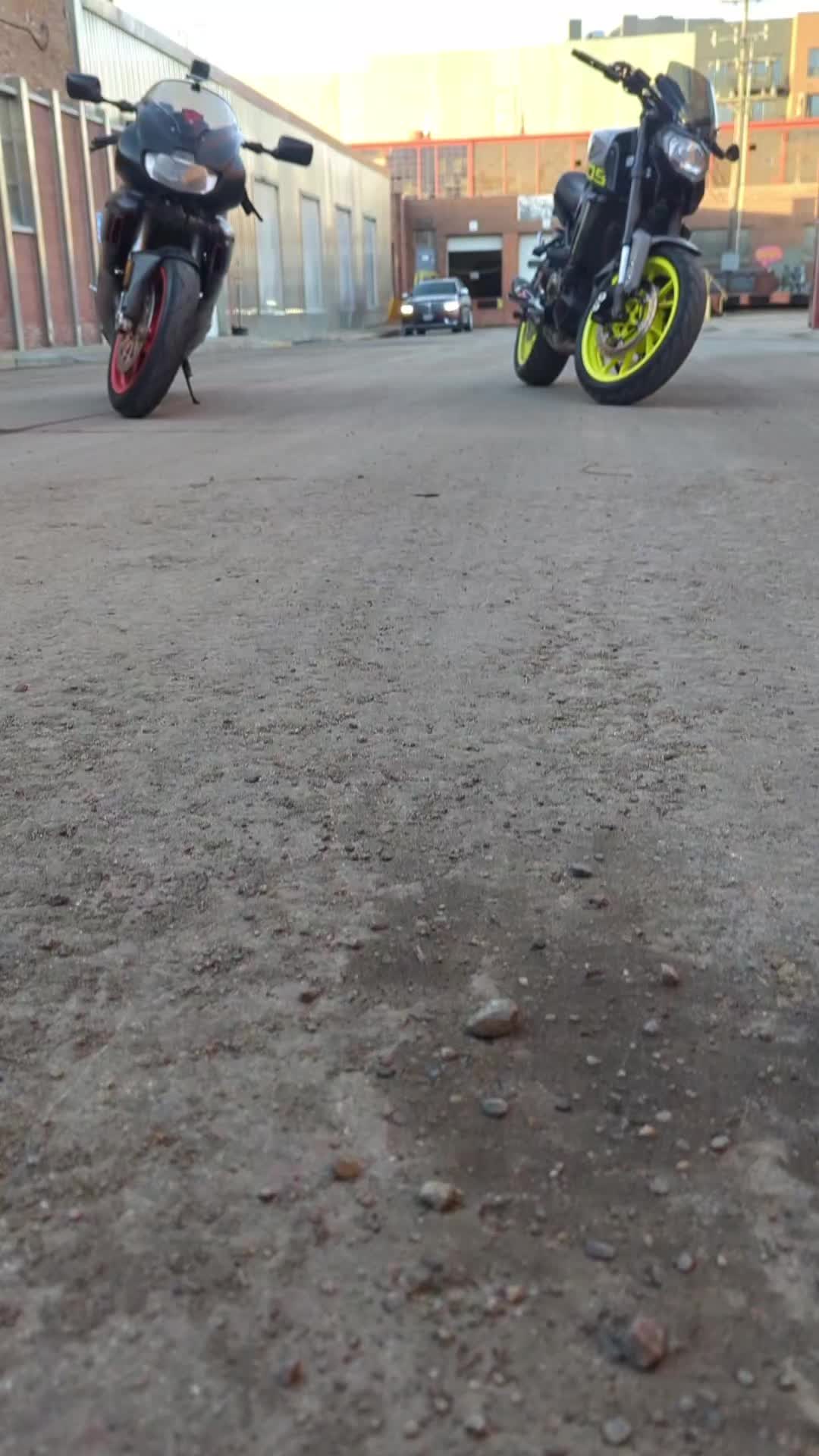 @theblackwidowss