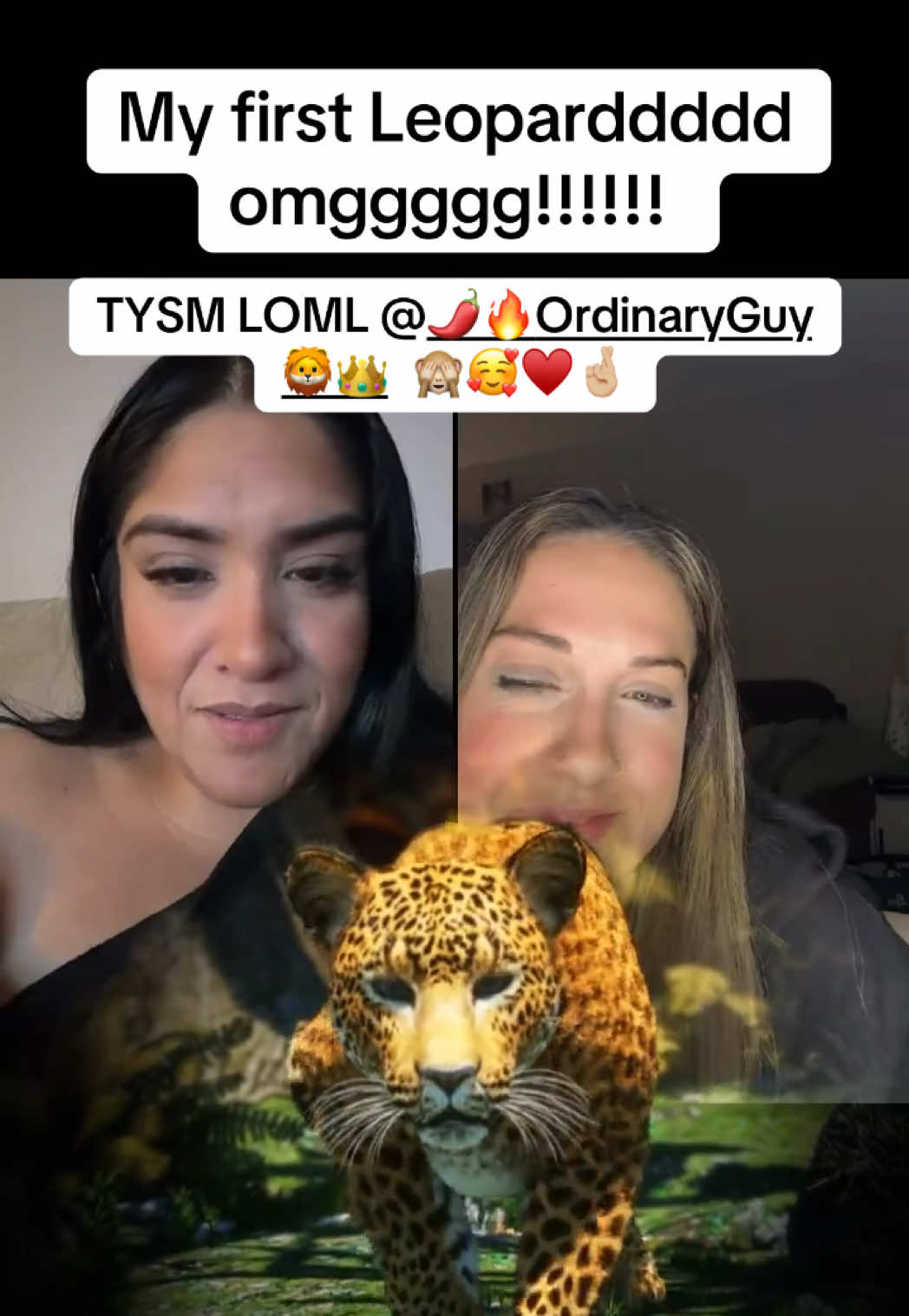 @🌶️🔥| 𝓢𝓽𝓮𝓯 |🦁👑
