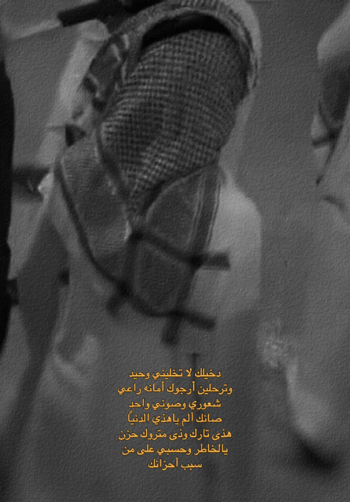 @يزن العنزي
