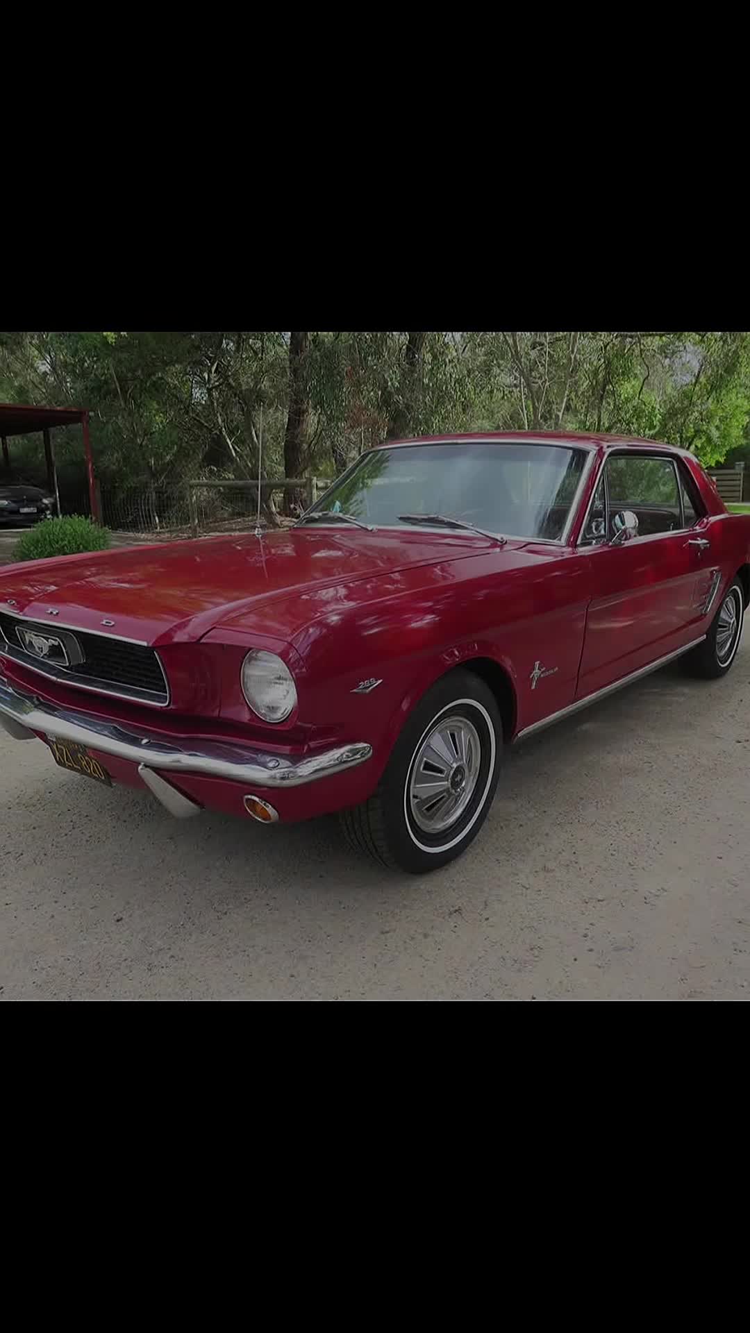 @kimmysclassiccars
