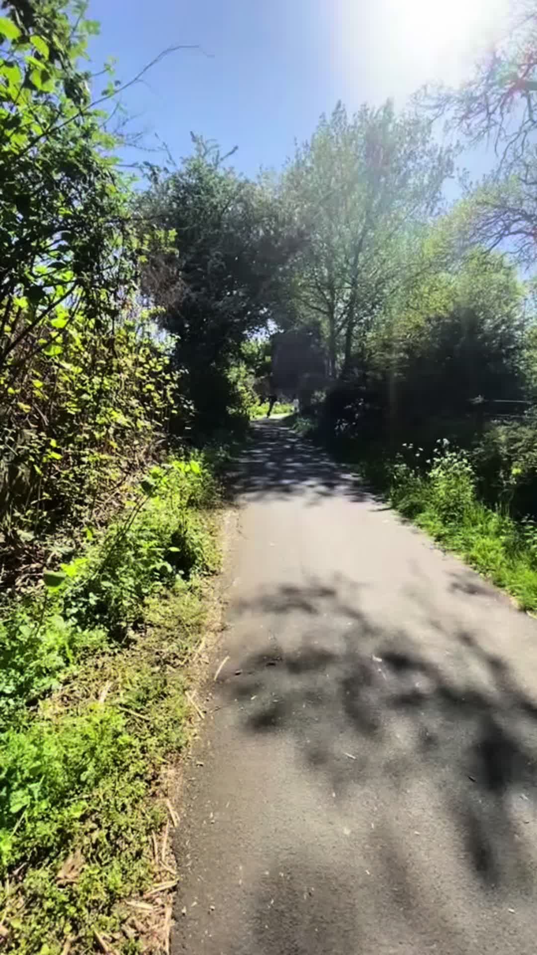 @ZT3.Pro_Beast 🚀🛴