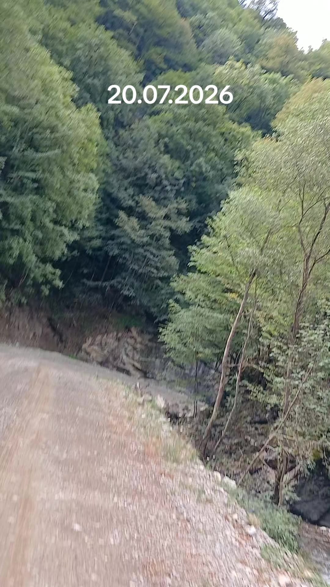 @Yaşar