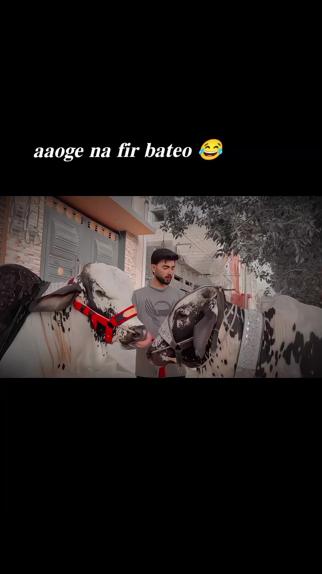 @.!🫠❤️&zwj;🩹