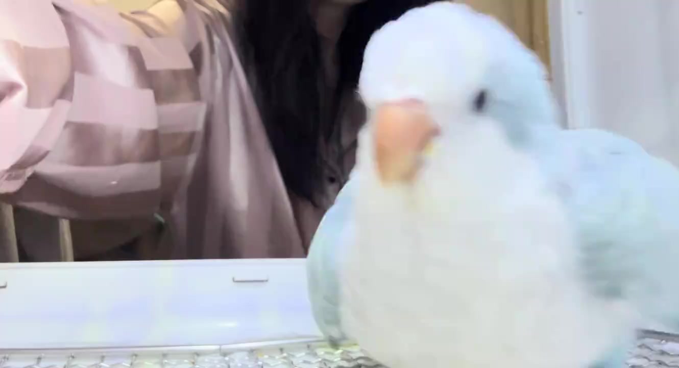 @FluffyTales