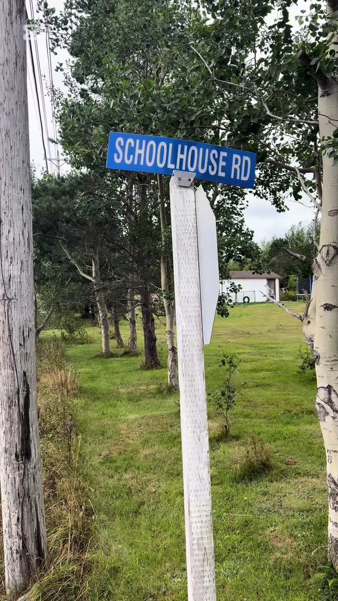 @Walton🇨🇦