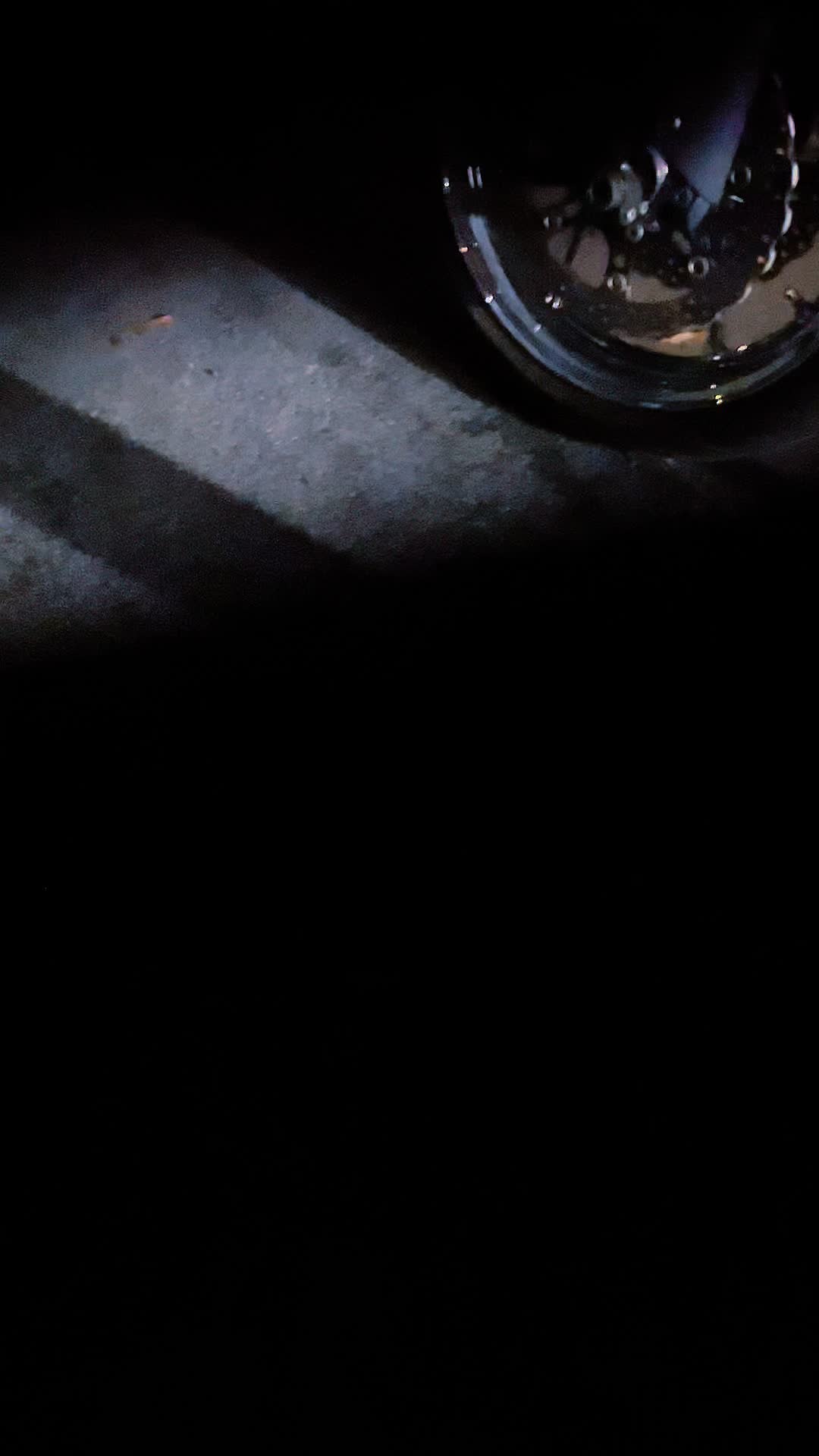 @Fearlessrider77