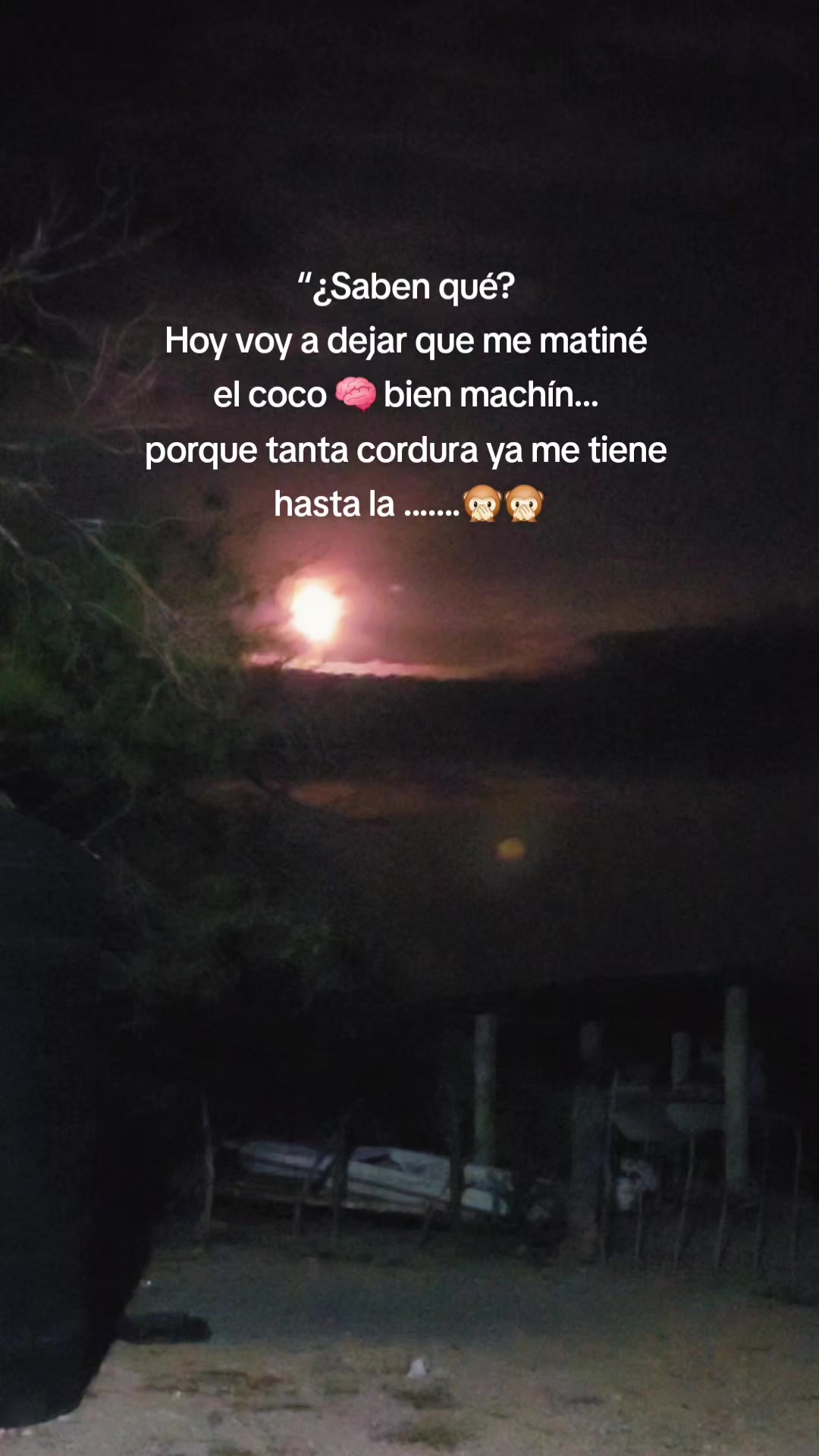 @Frases y canciones