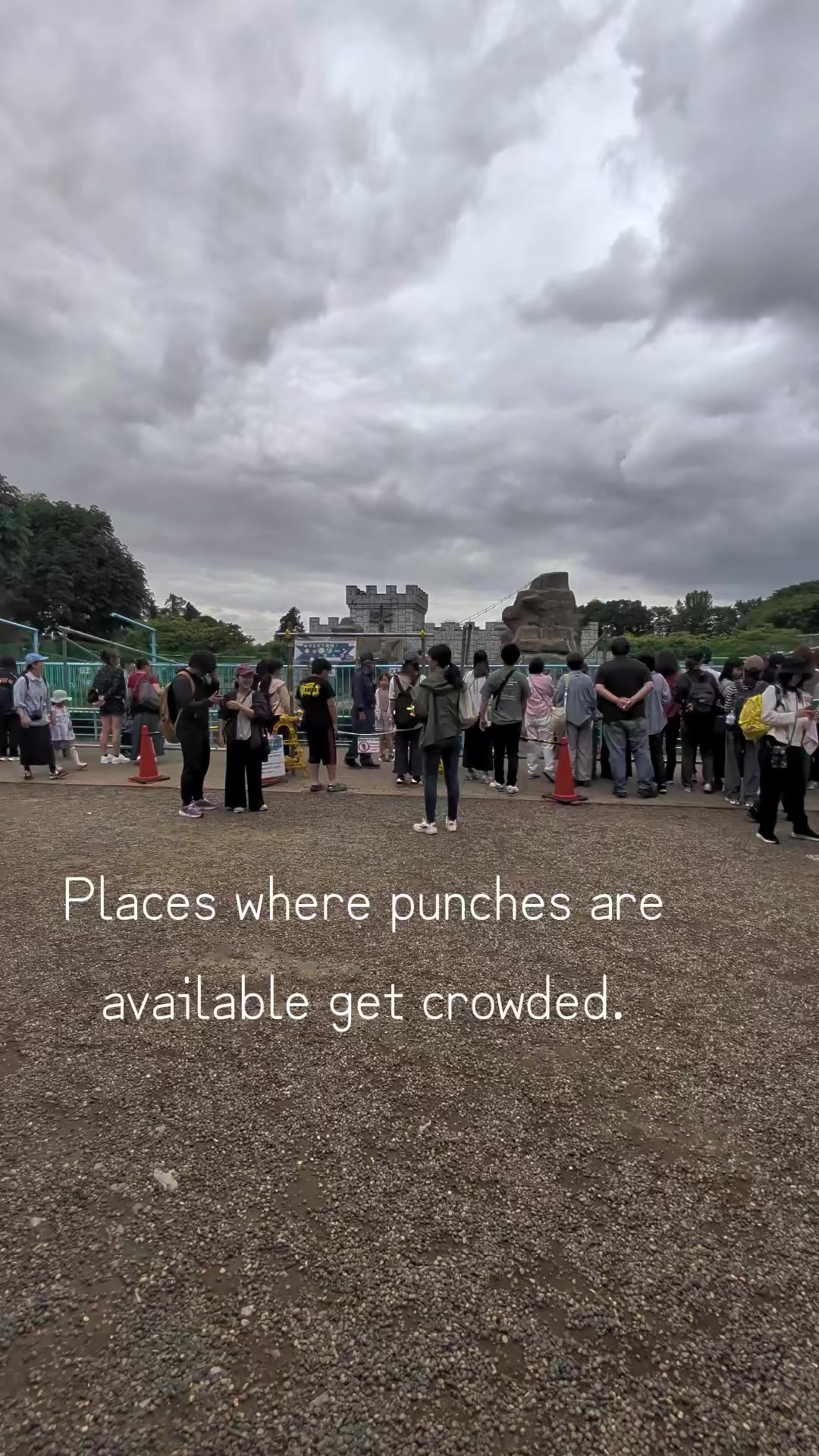 @Punch's Growth Diary