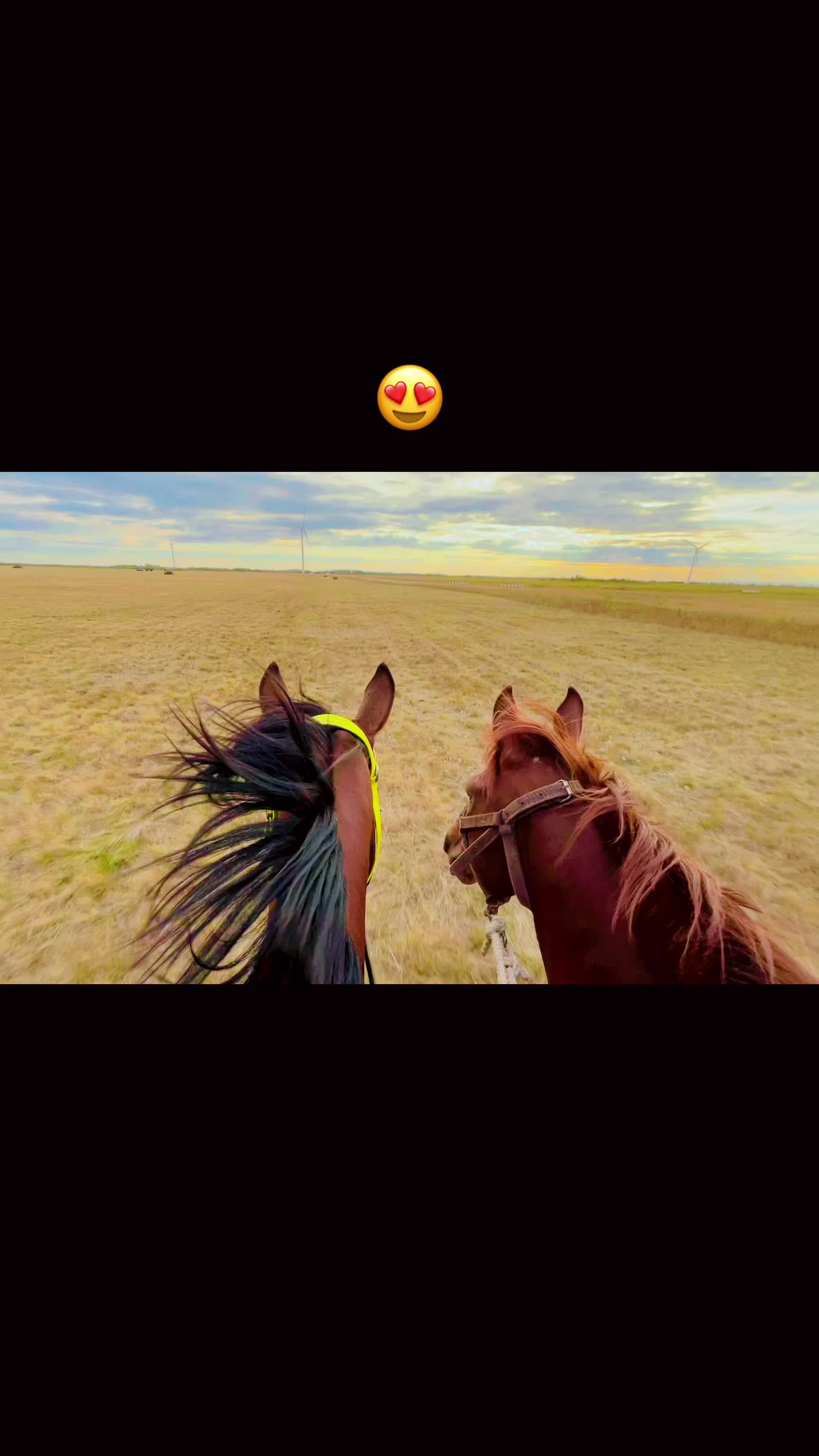 @🐎❤️