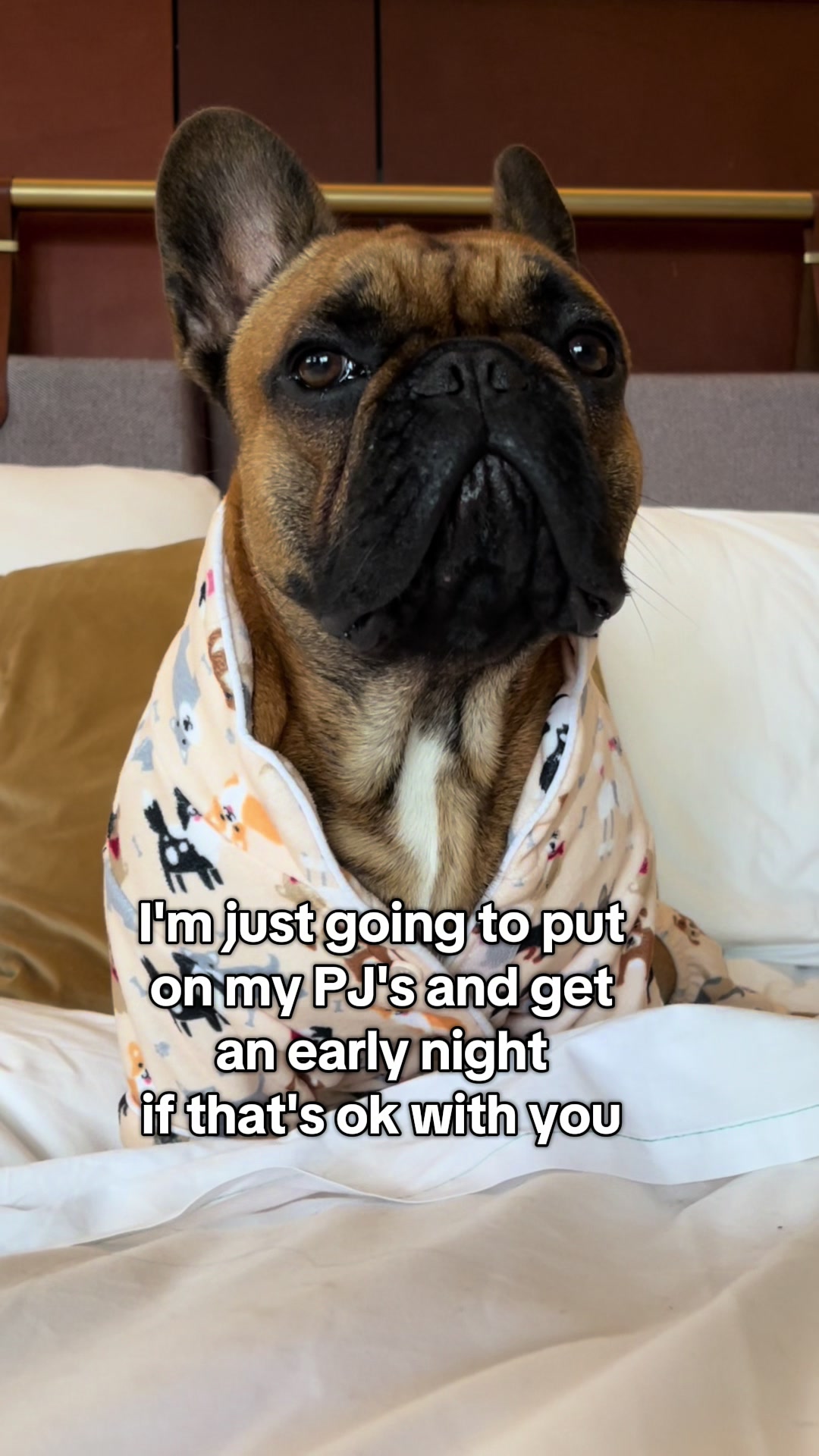 @Axel Rose | Bullmastiff