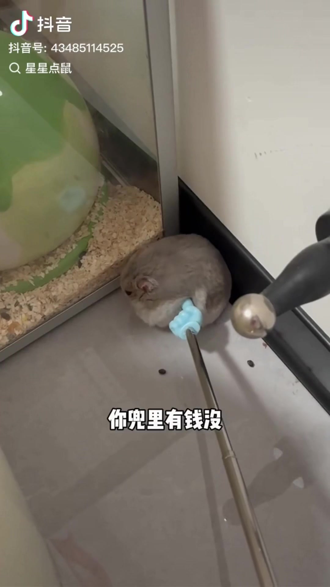 @岩電電