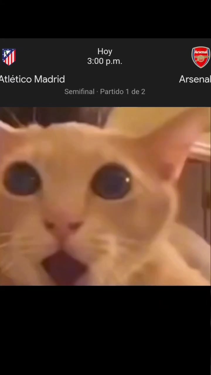 @videos_ramdom3000