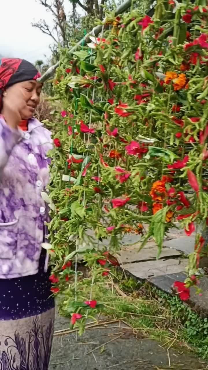 @Anu Purja