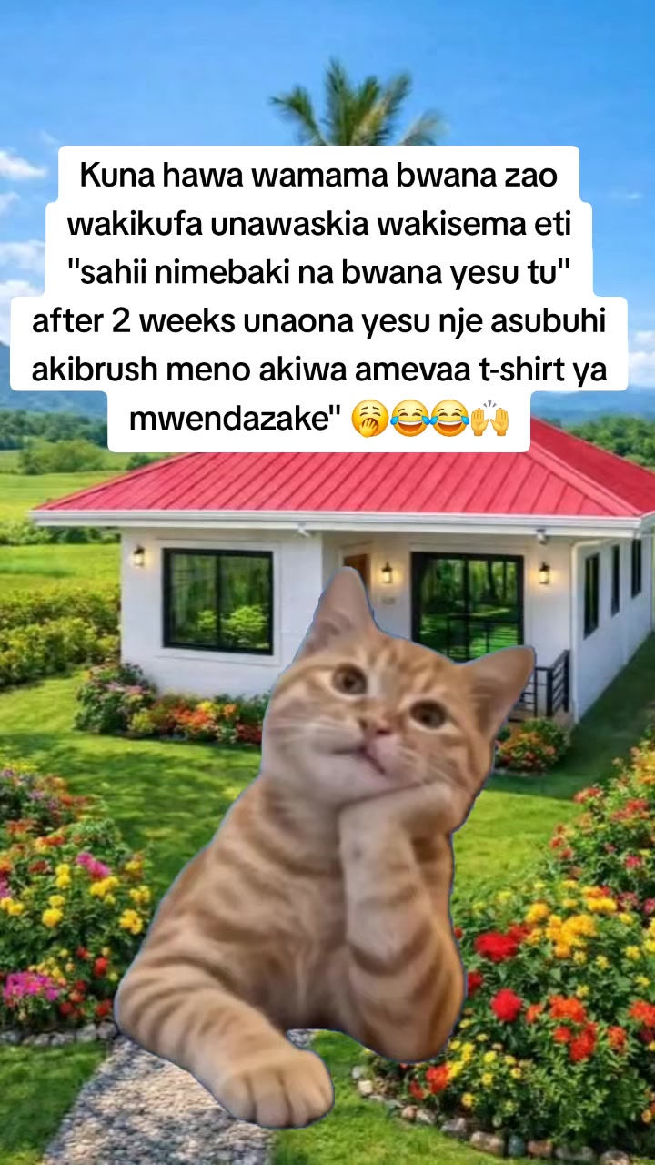 @Miss Vibez ๐ค๐๐