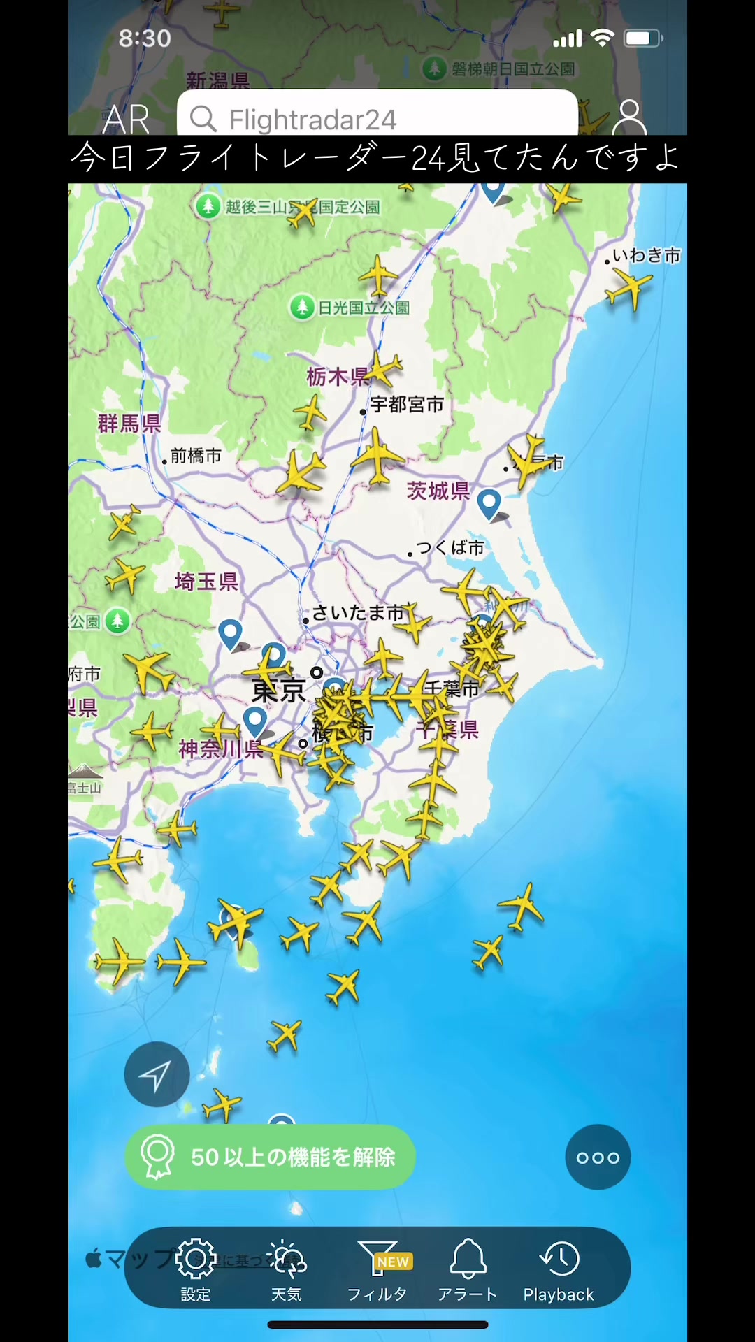 @バラ男