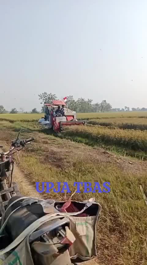 @Upja Tbas