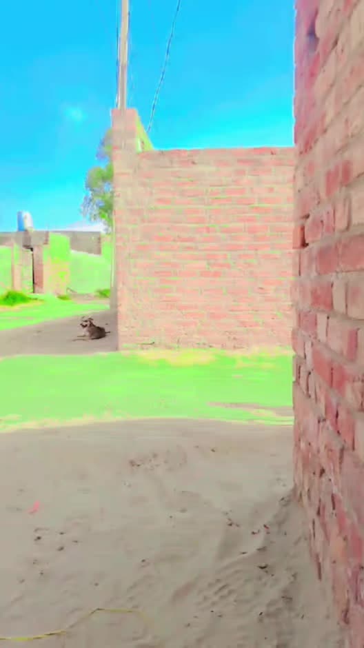 @Golu