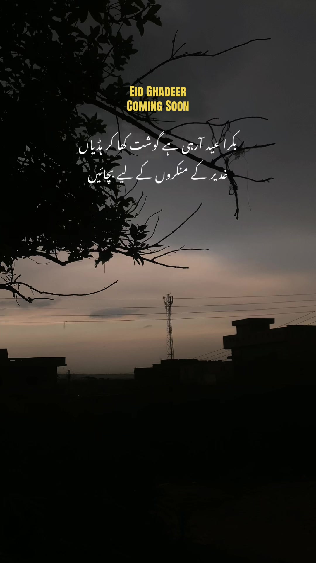 @𝑬 ރ